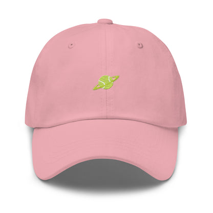 planet Dad hat