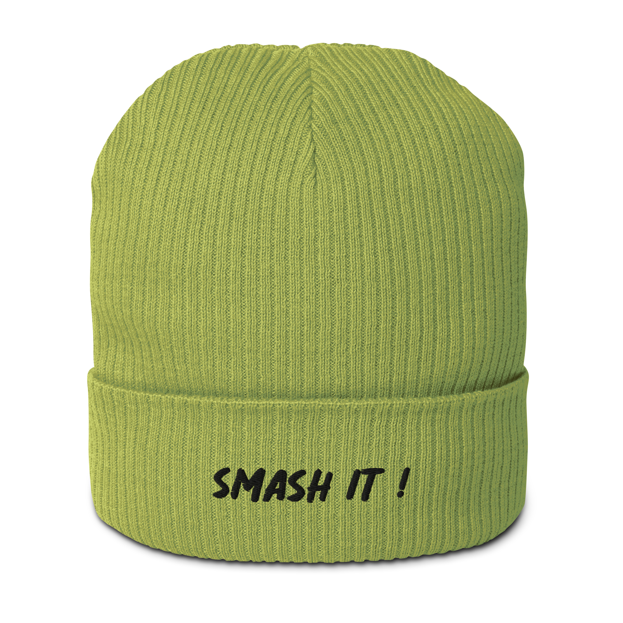 smash it beanie