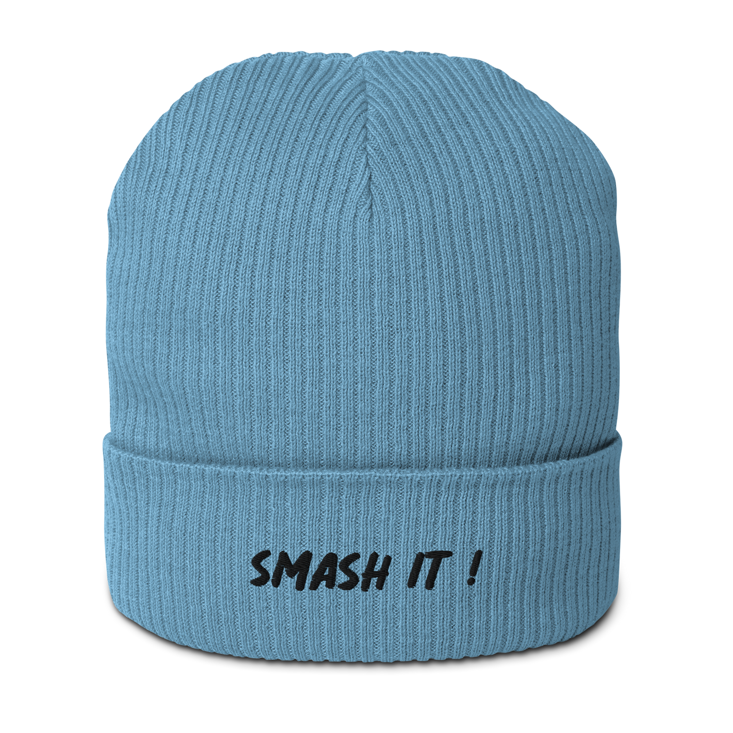 smash it beanie