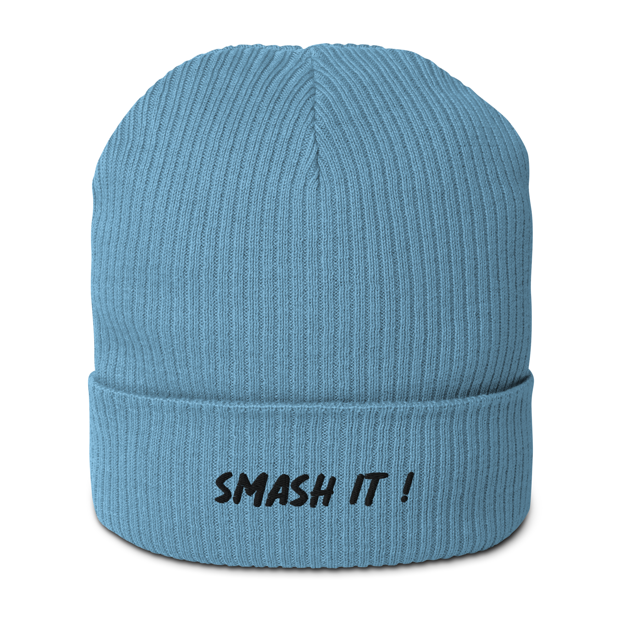 smash it beanie