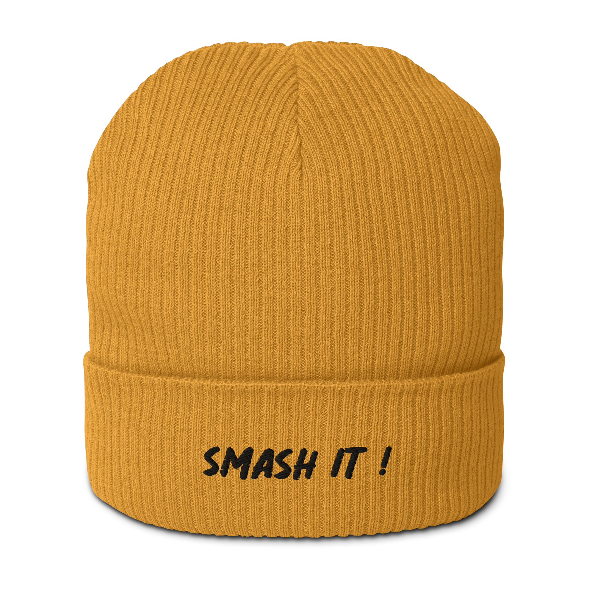 smash it beanie